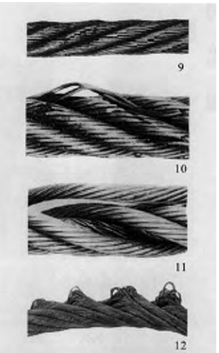 钢丝绳损坏典型（三）